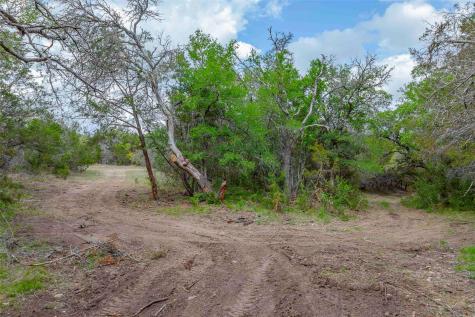 910 Abbey Road Liberty Hill TX 78642