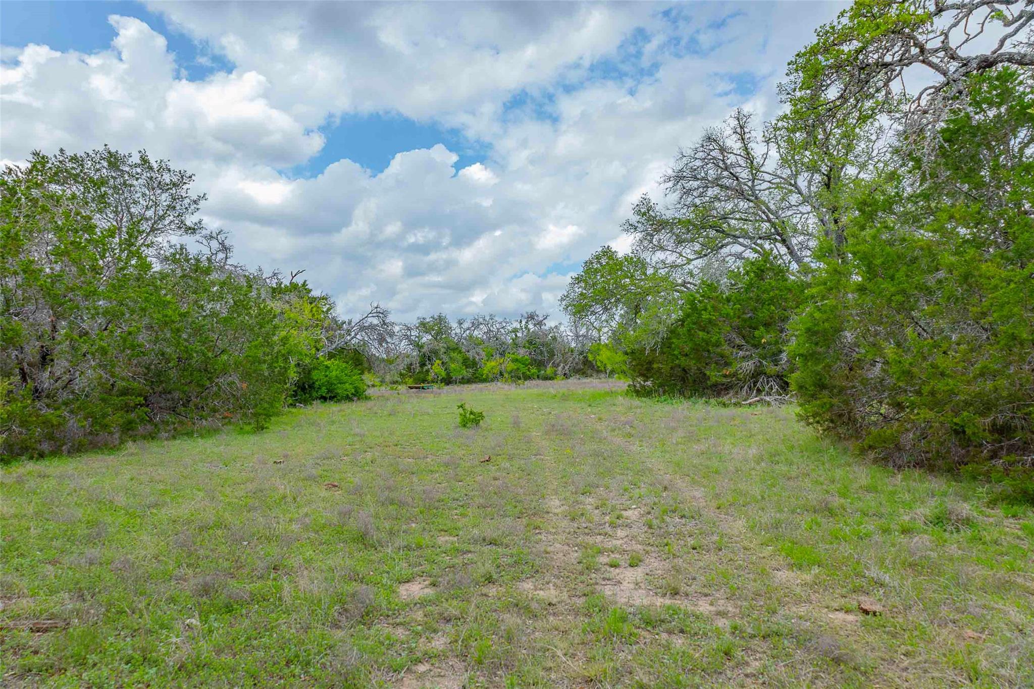 910 Abbey Road Liberty Hill TX 78642