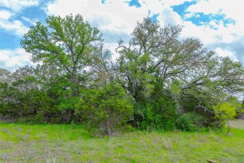 910 Abbey Road Liberty Hill TX 78642
