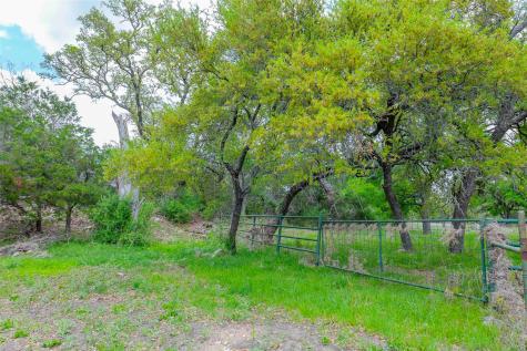 910 Abbey Road Liberty Hill TX 78642