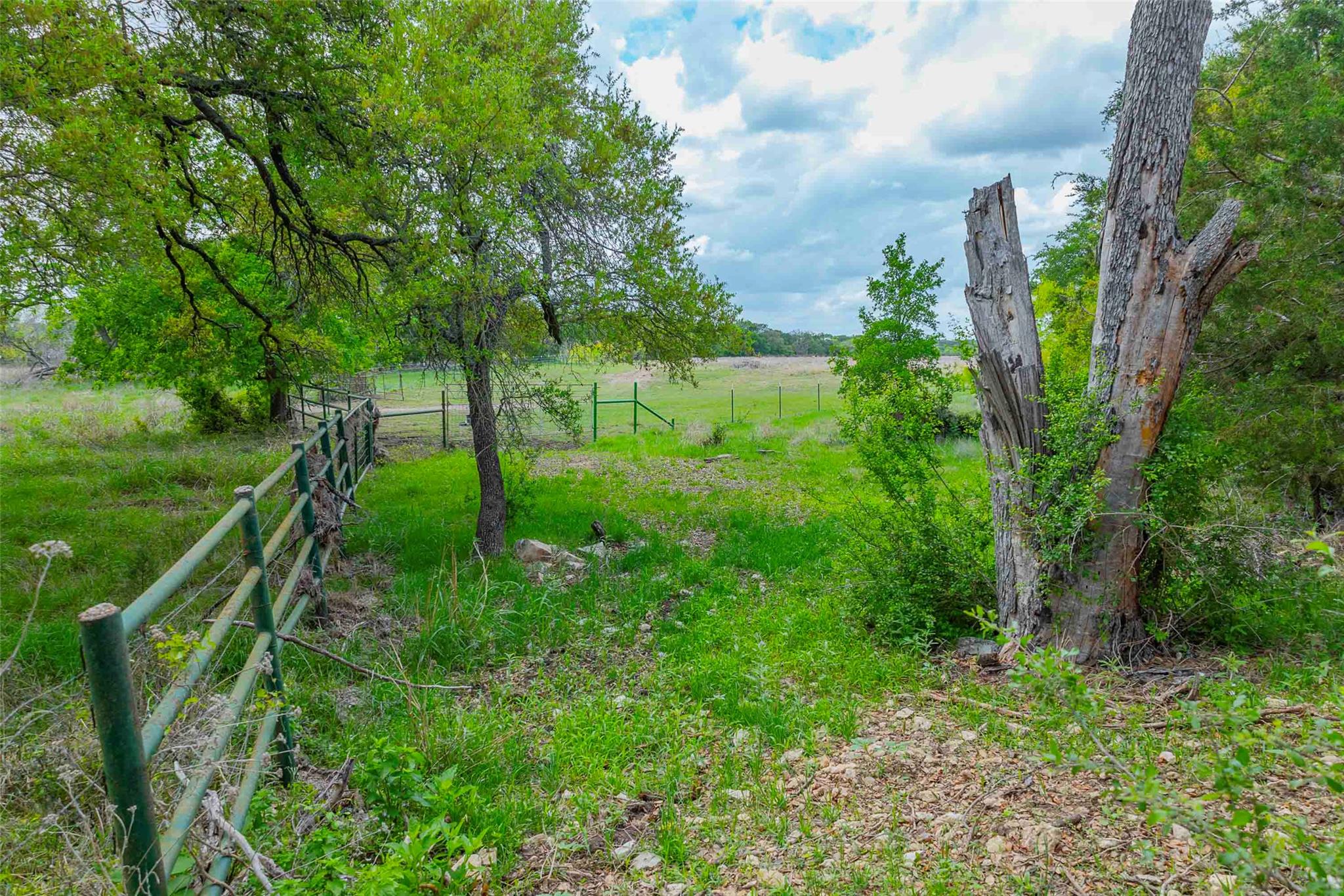910 Abbey Road Liberty Hill TX 78642