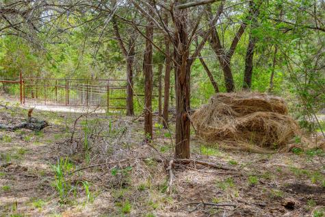 910 Abbey Road Liberty Hill TX 78642