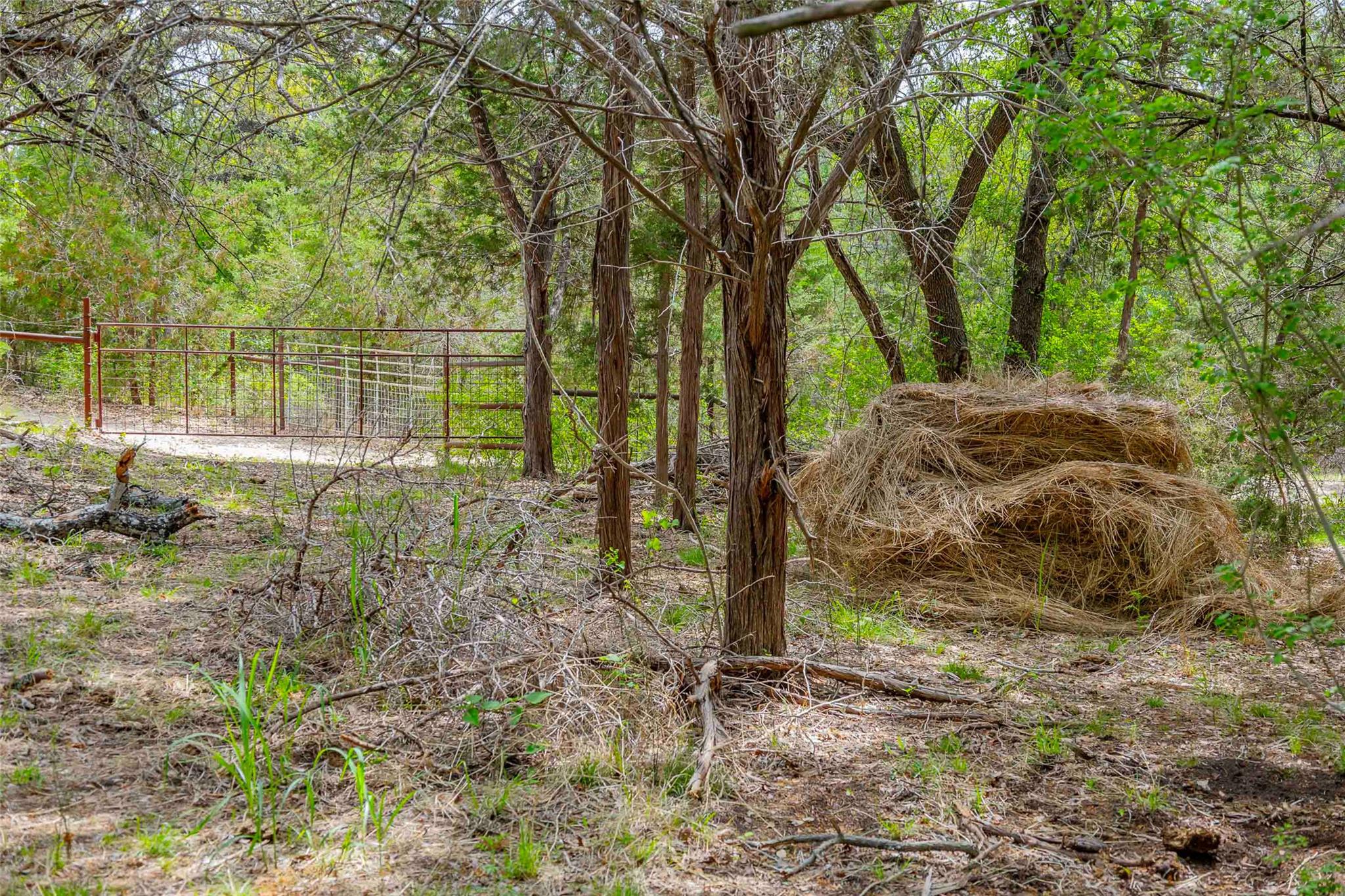 910 Abbey Road Liberty Hill TX 78642