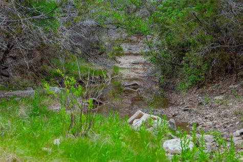 910 Abbey Road Liberty Hill TX 78642