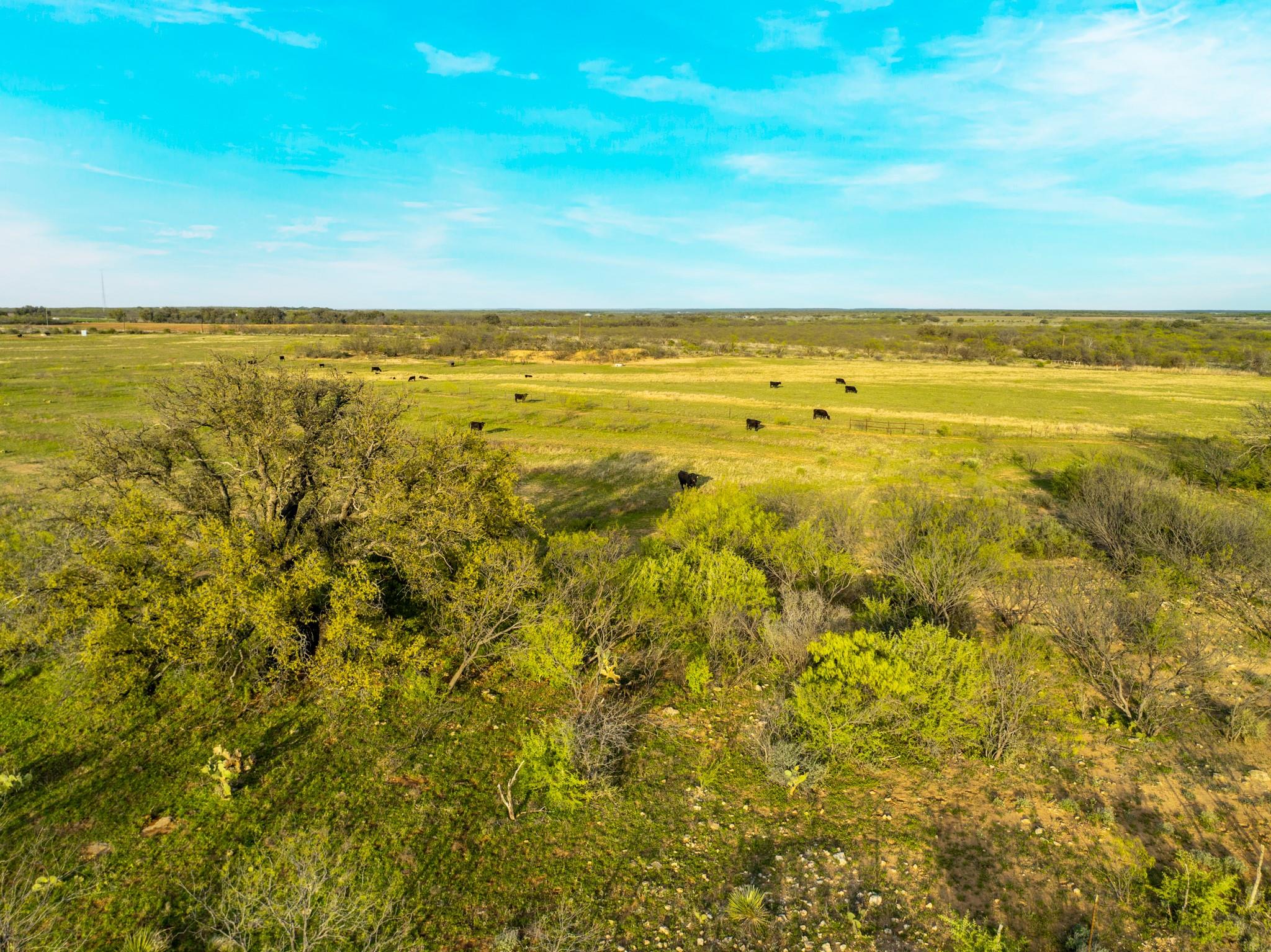 2145 County Road 320 Brady TX 76852
