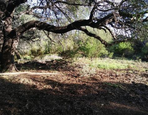 4066 E Fm 581 Highway Lometa TX 76853