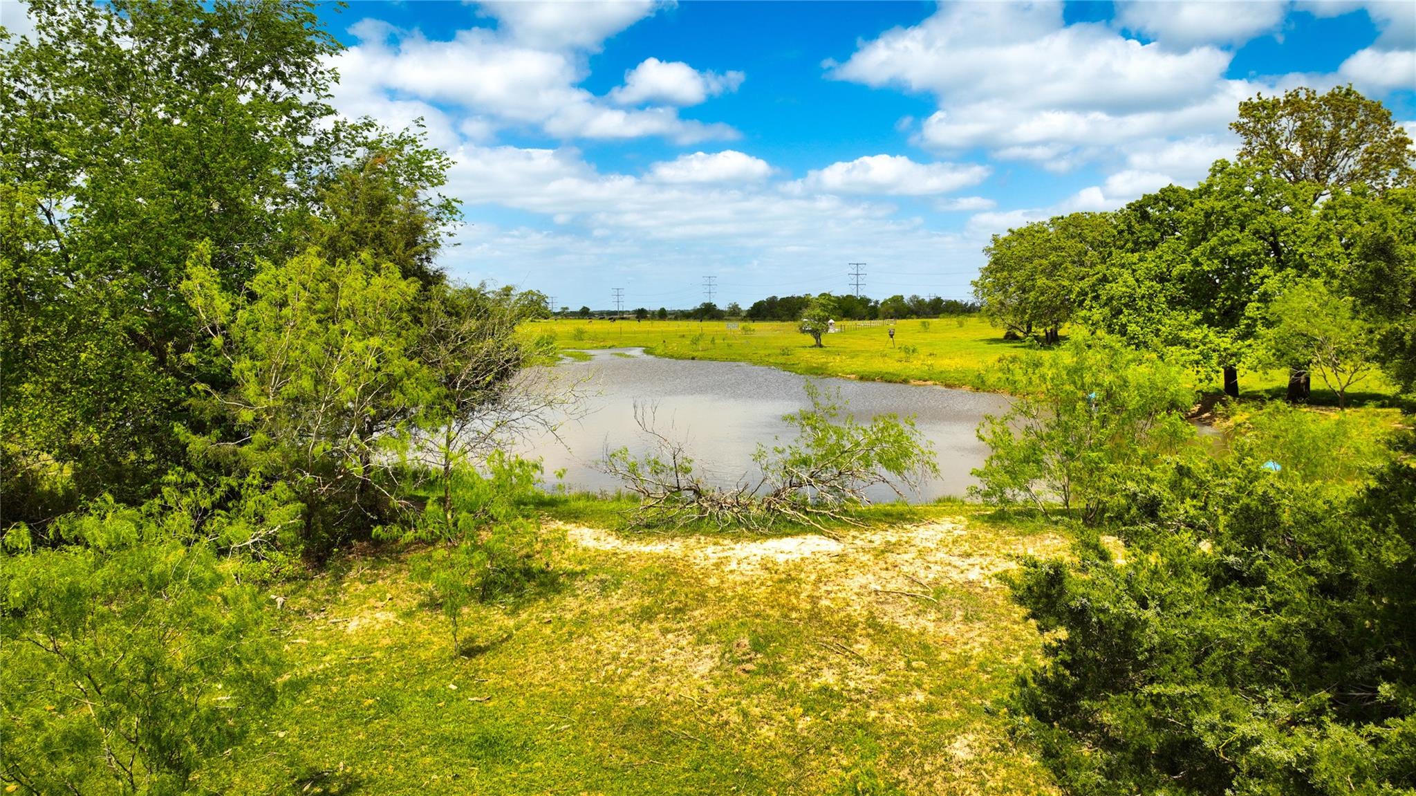 8770 Lee Lane North Zulch TX 77872