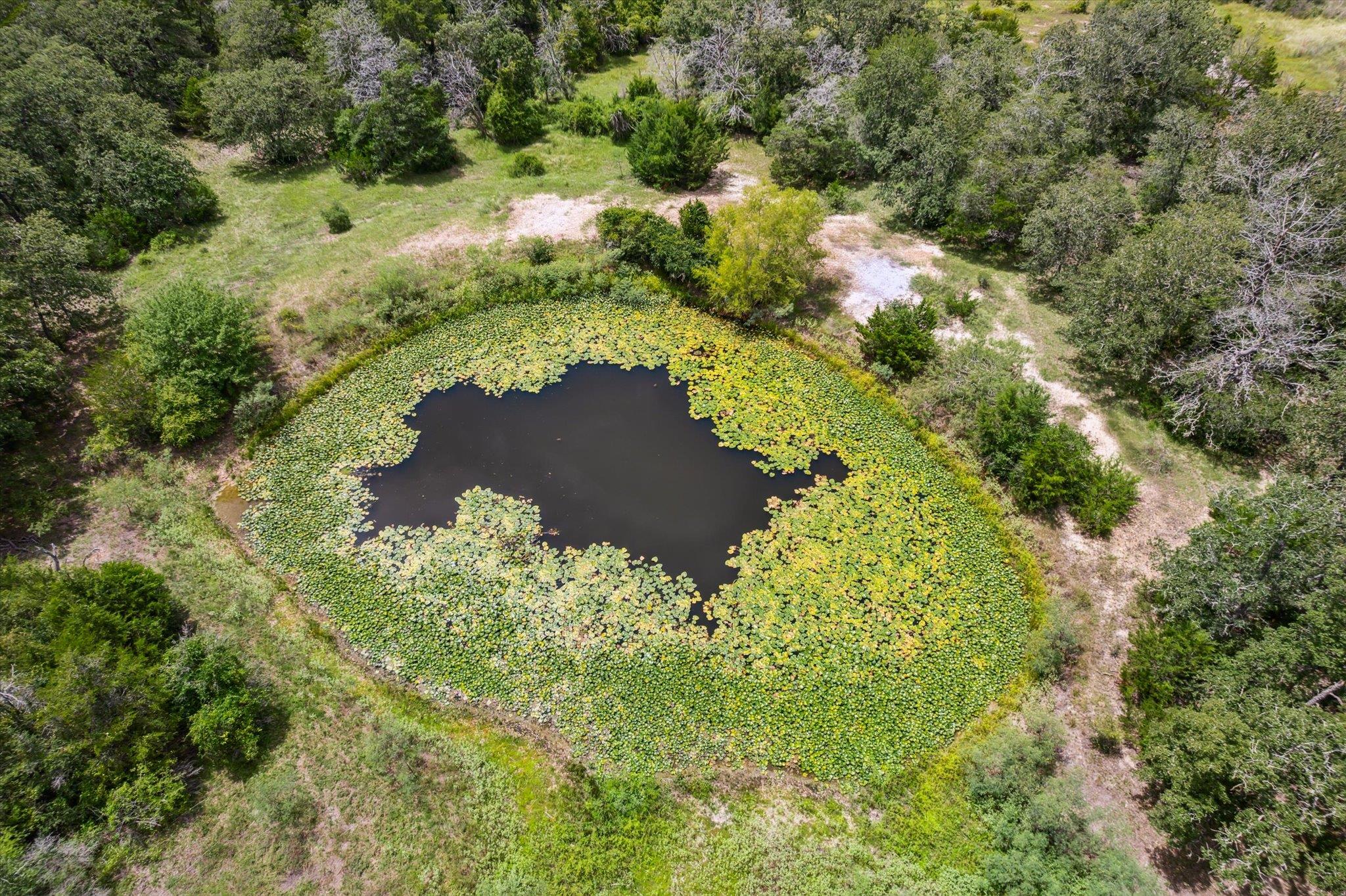 1434 County Road 139 Giddings TX 78942