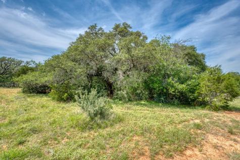 Tbd Althaus Ranch Road Johnson City TX 78636