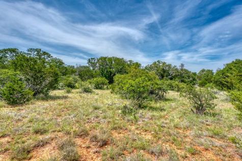 Tbd Althaus Ranch Road Johnson City TX 78636