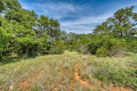 Tbd Althaus Ranch Road Johnson City TX 78636