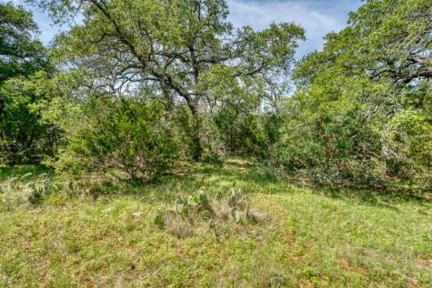 Tbd Althaus Ranch Road Johnson City TX 78636