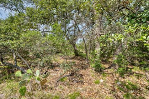 Tbd Althaus Ranch Road Johnson City TX 78636