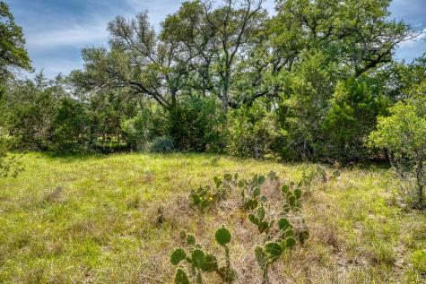 Tbd Althaus Ranch Road Johnson City TX 78636