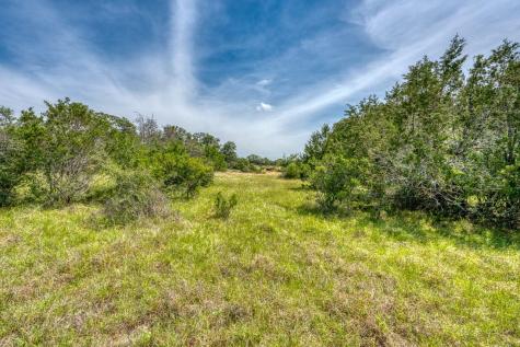 Tbd Althaus Ranch Road Johnson City TX 78636