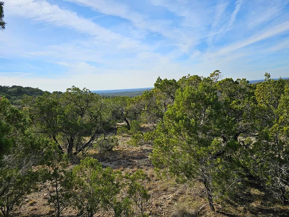 6438 Shaw Drive Marble Falls TX 78654
