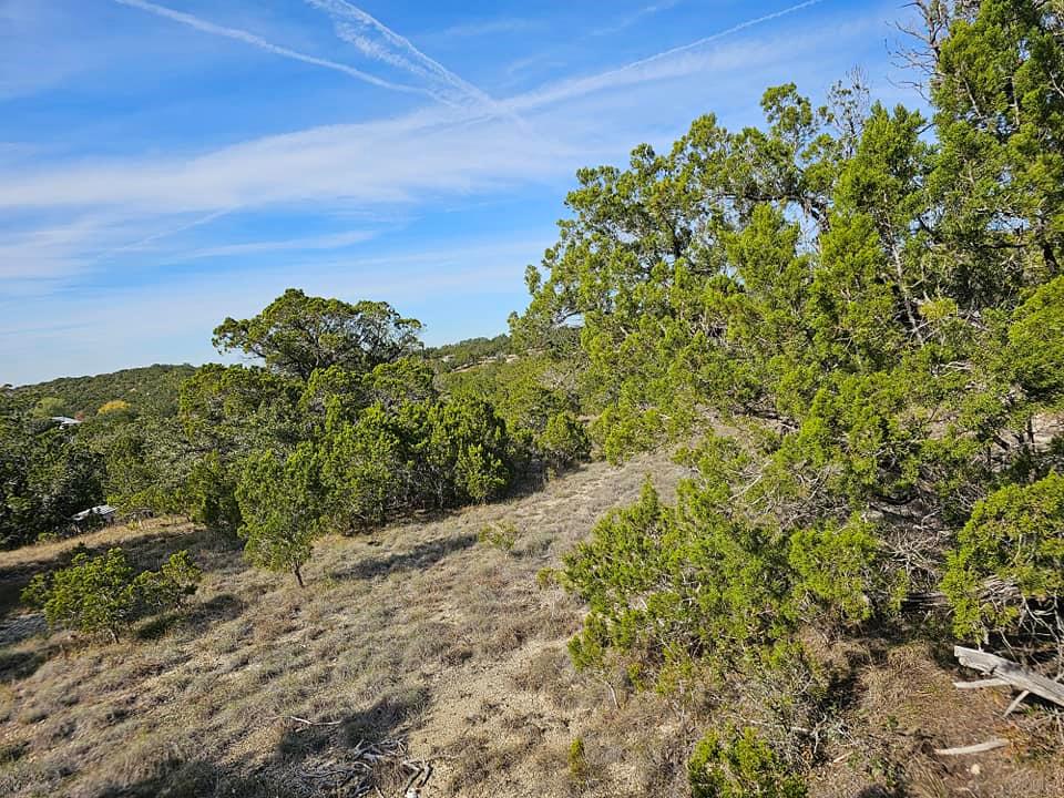 6438 Shaw Drive Marble Falls TX 78654
