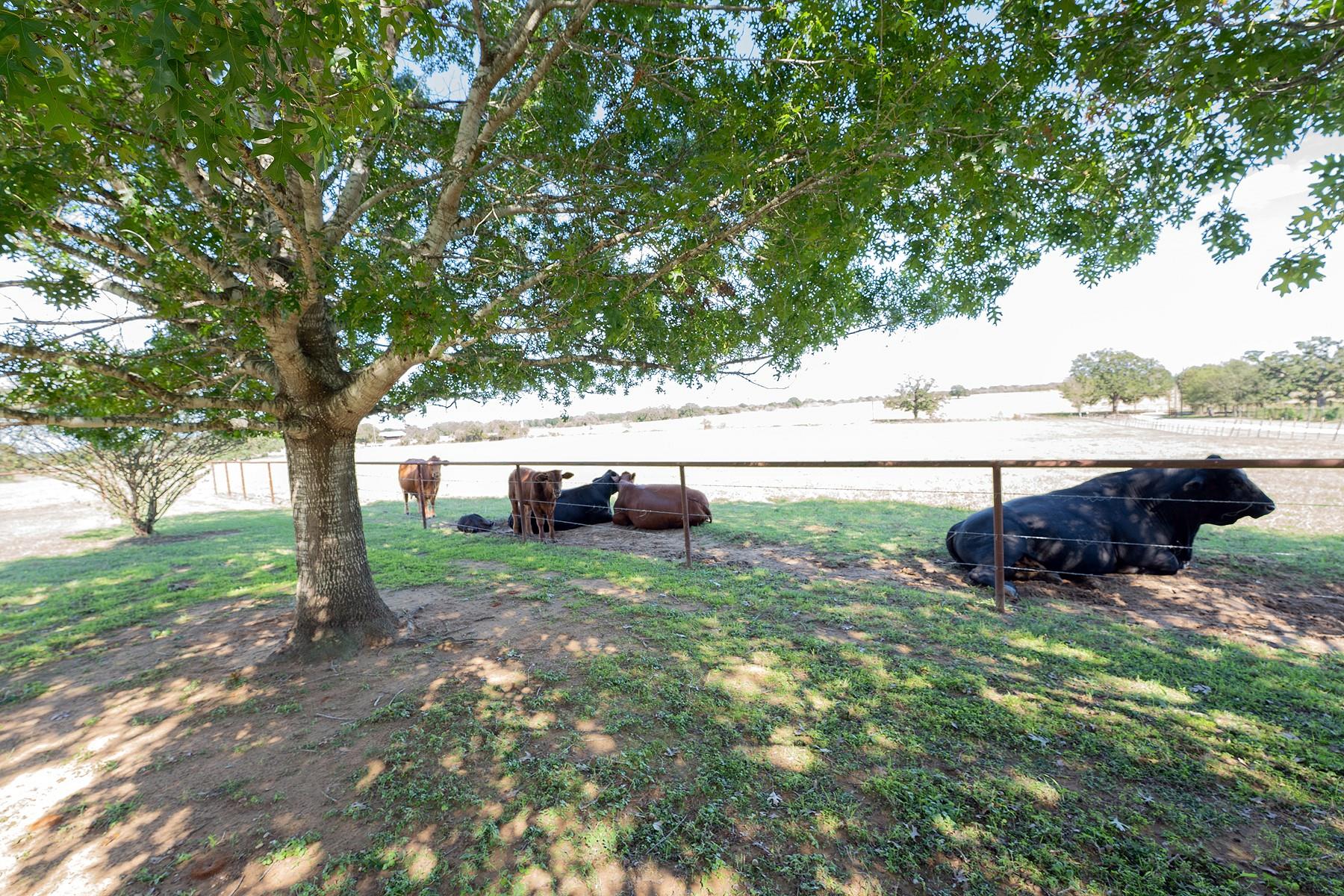 2542 Witter Road Lockhart TX 78644