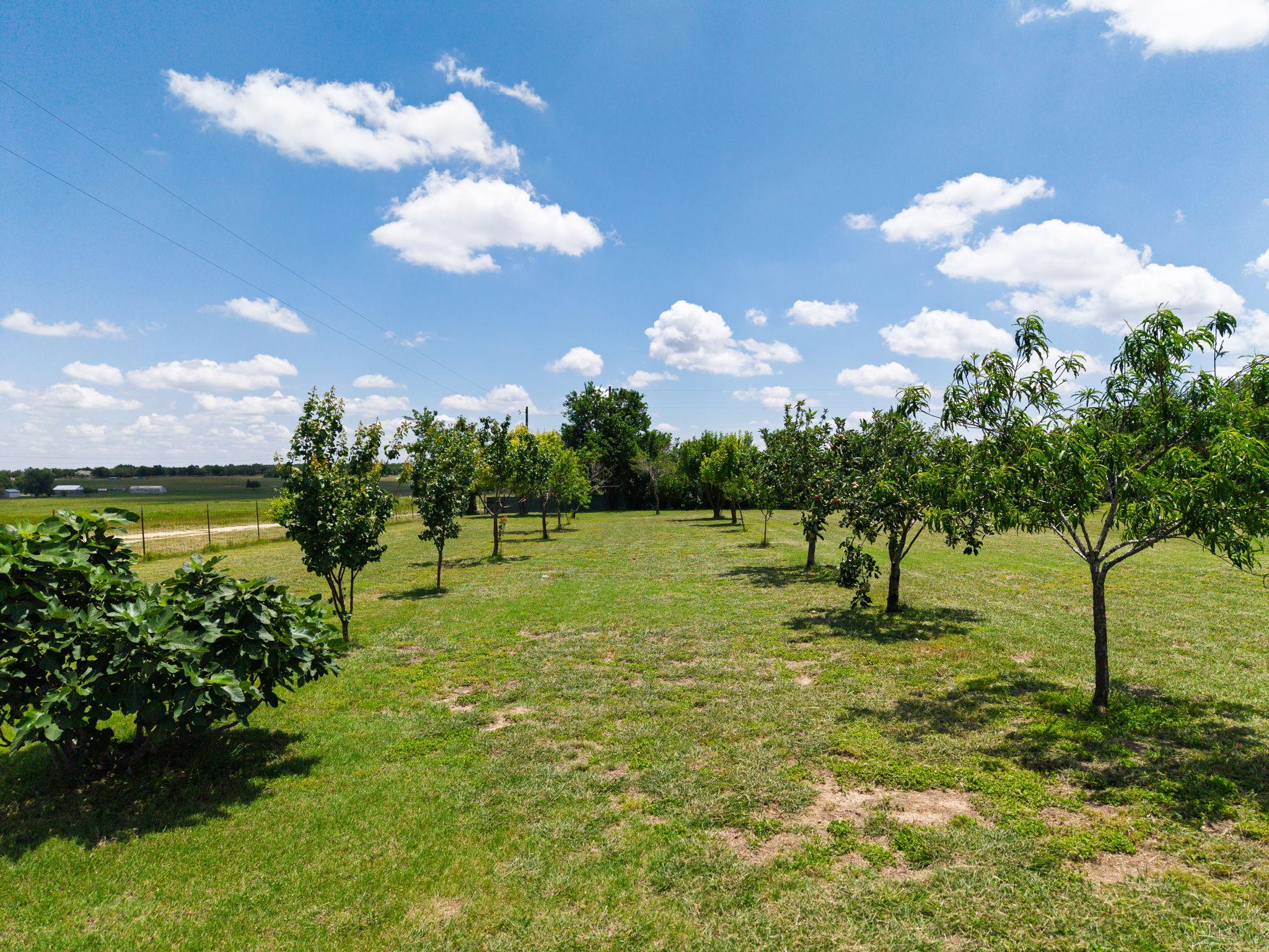 120 Rae Lane Jarrell TX 76537