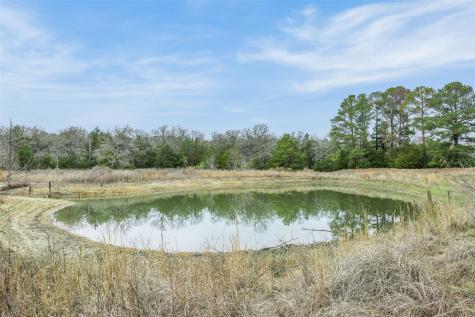 150 Turner Lane Paige TX 78659