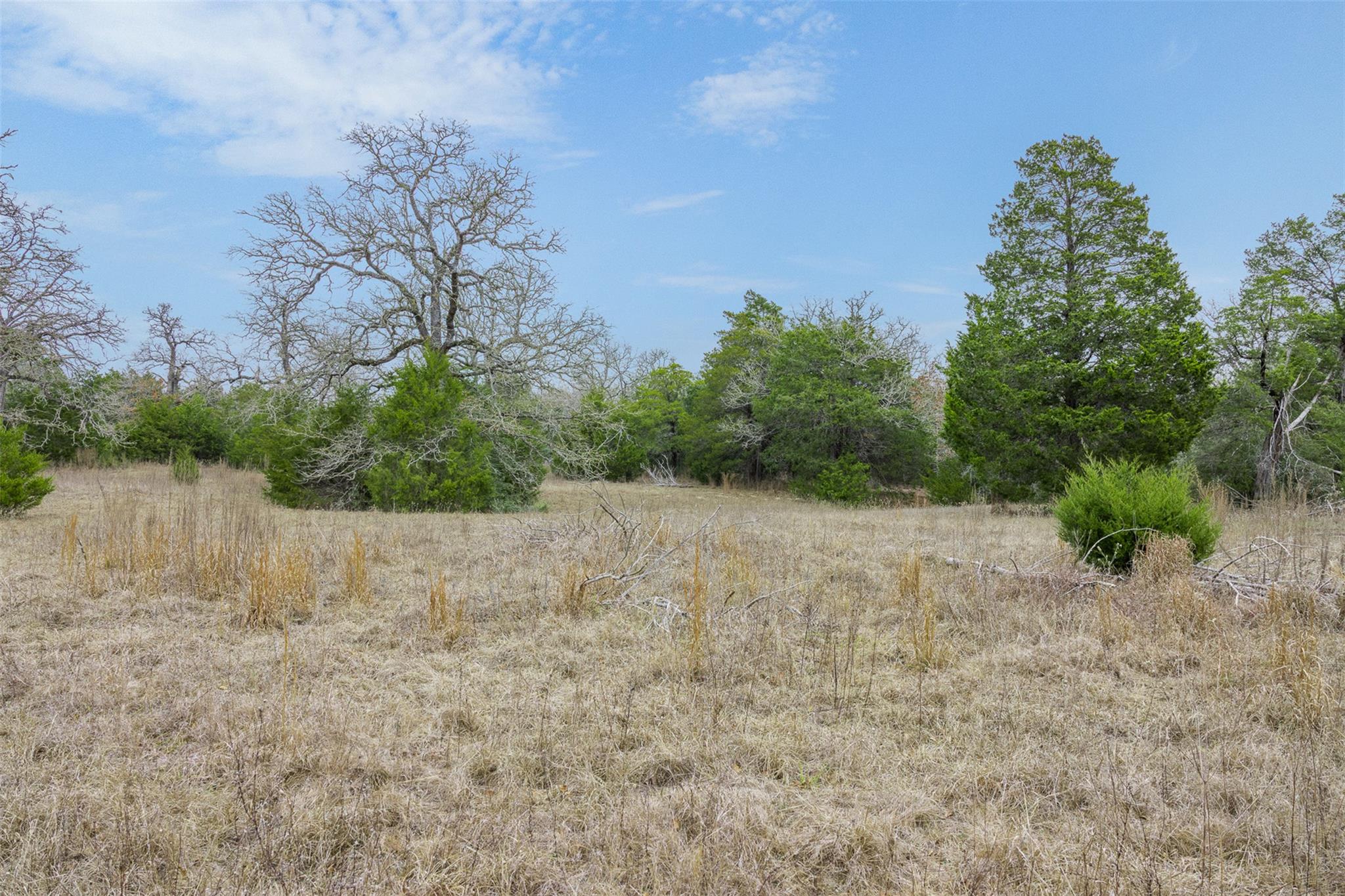 150 Turner Lane Paige TX 78659
