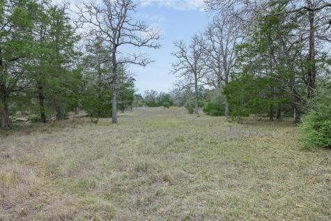 150 Turner Lane Paige TX 78659