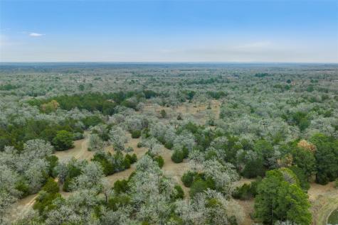 150 Turner Lane Paige TX 78659