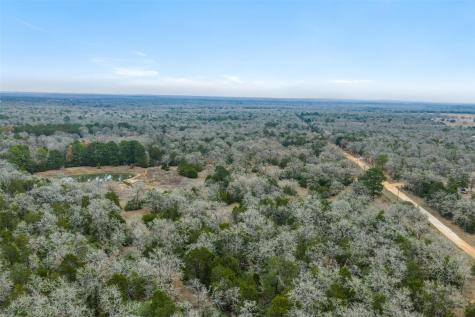 150 Turner Lane Paige TX 78659
