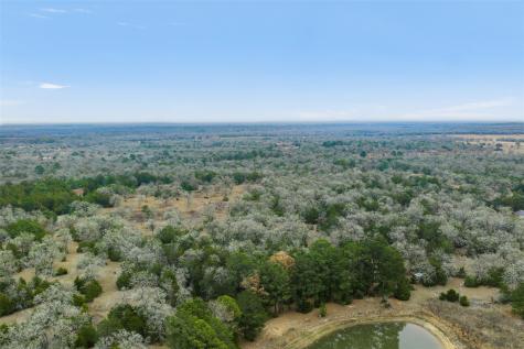 150 Turner Lane Paige TX 78659