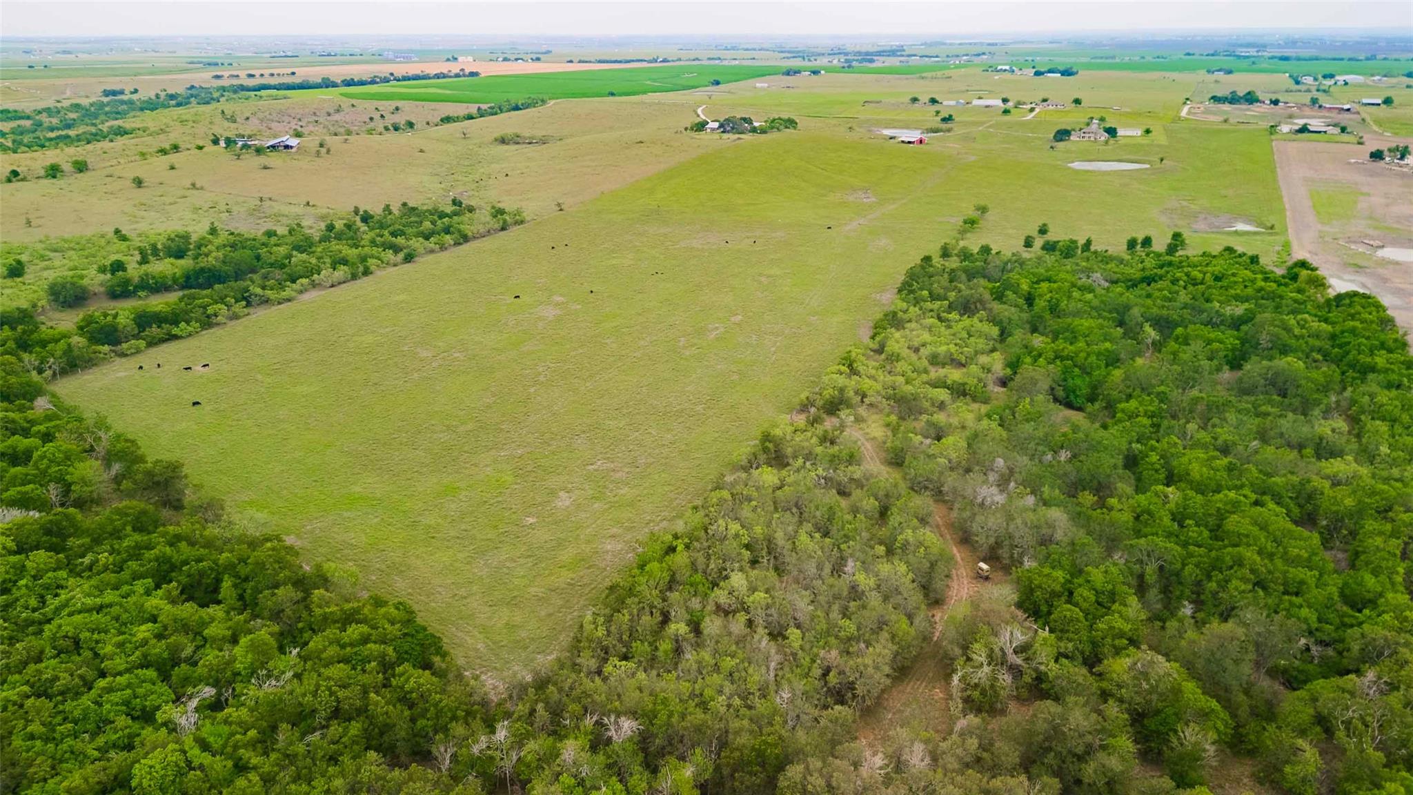 20145 Janak Road Coupland TX 78615