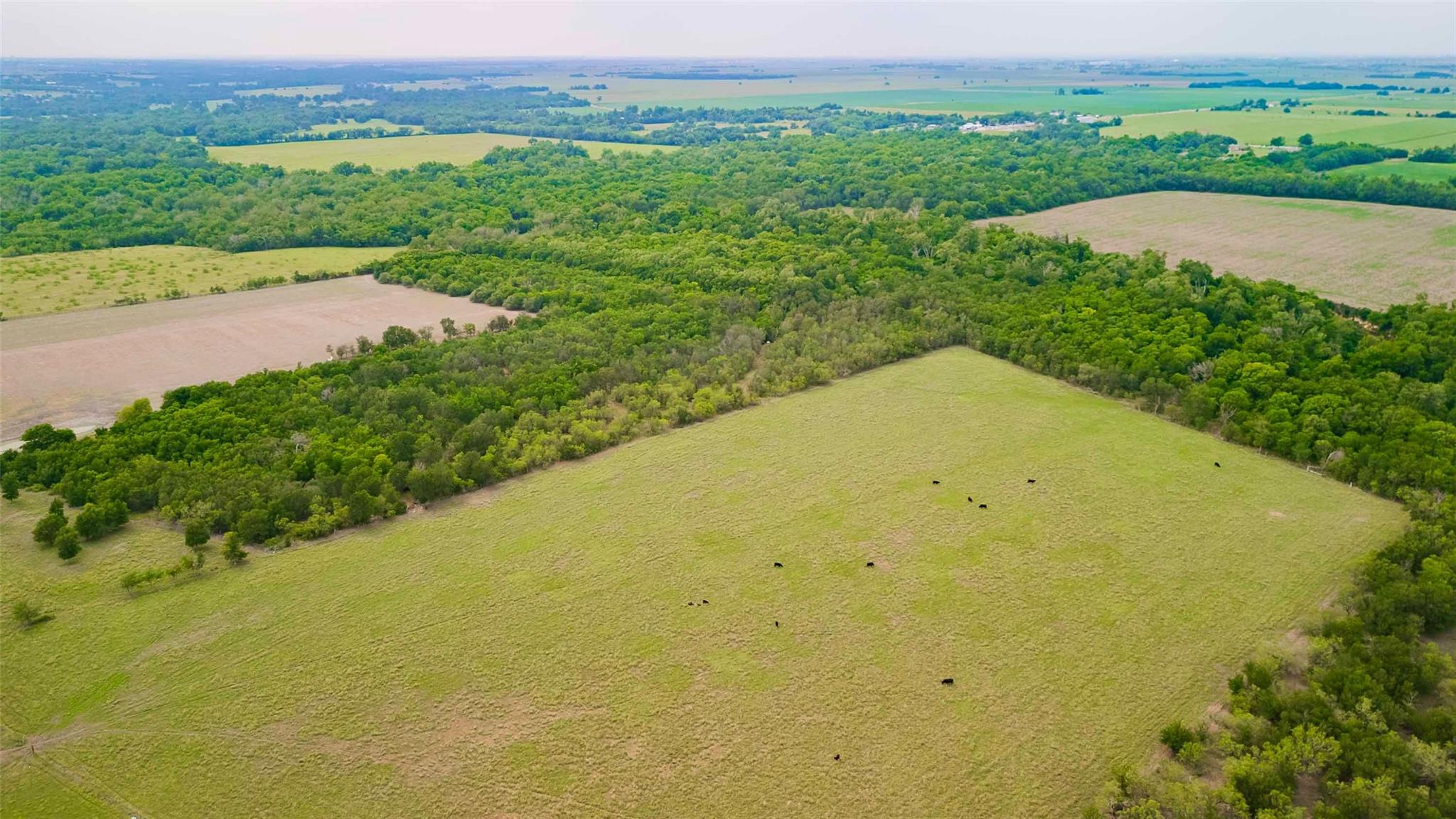 20145 Janak Road Coupland TX 78615