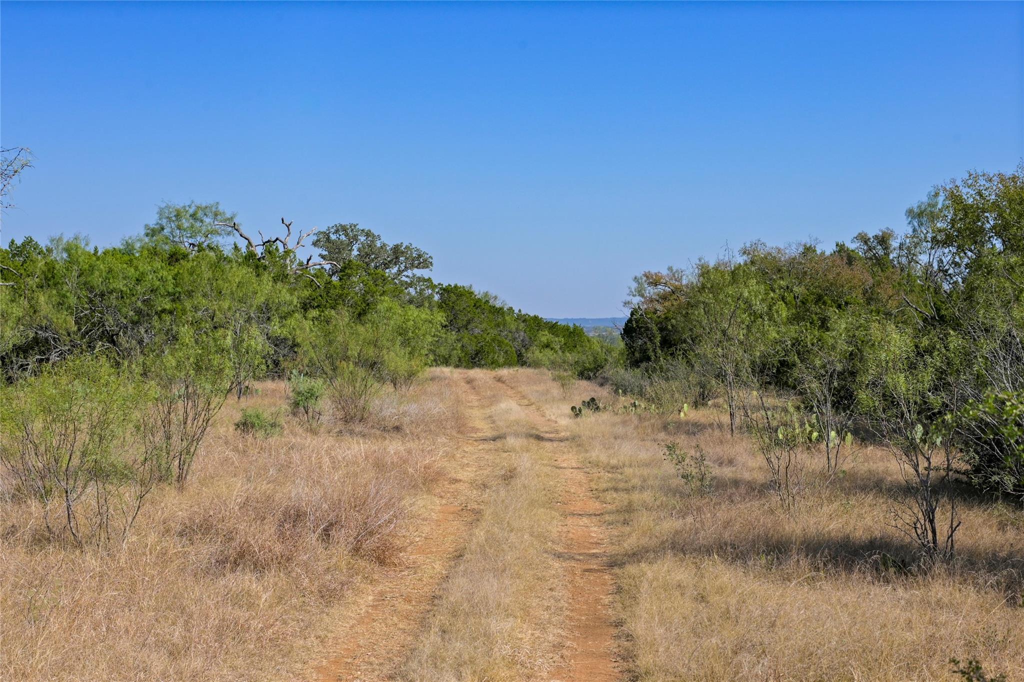 1033 Flying X Road Spicewood TX 78669