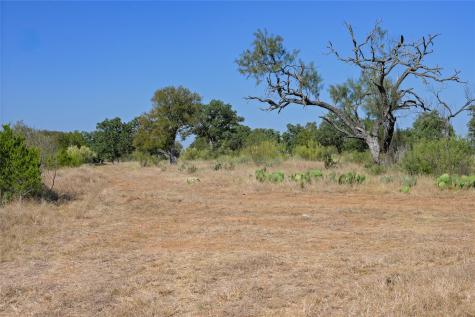 1033 Flying X Road Spicewood TX 78669