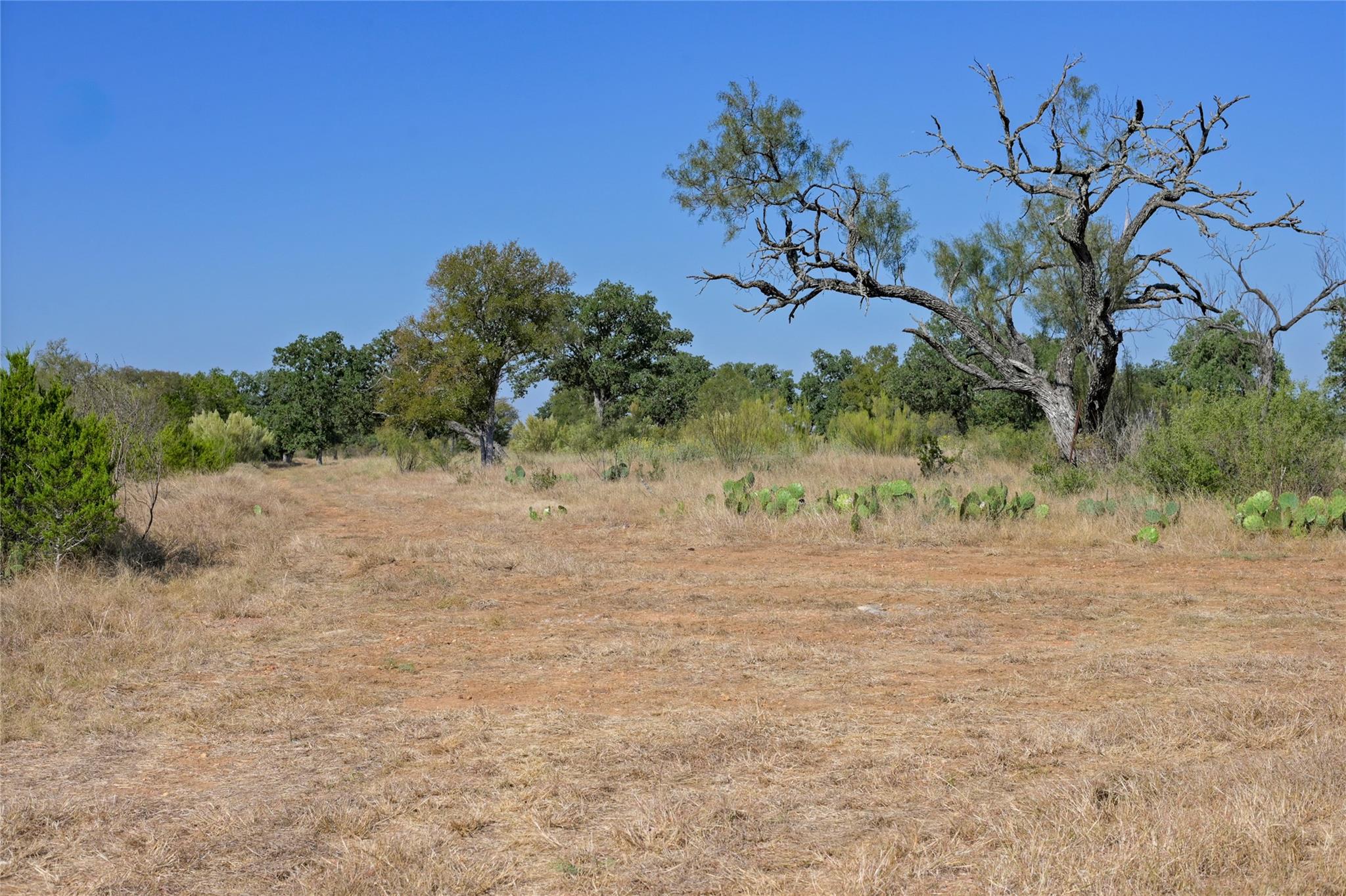 1033 Flying X Road Spicewood TX 78669