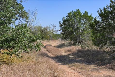 1033 Flying X Road Spicewood TX 78669