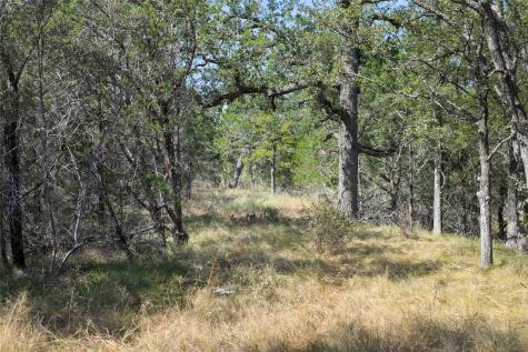 1033 Flying X Road Spicewood TX 78669
