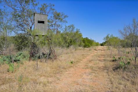 1033 Flying X Road Spicewood TX 78669