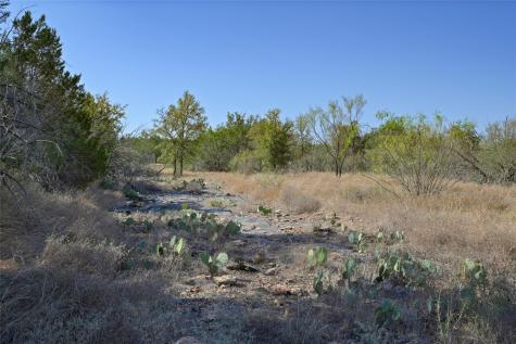 1033 Flying X Road Spicewood TX 78669