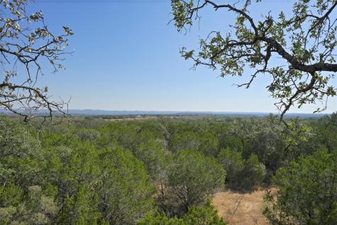 1033 Flying X Road Spicewood TX 78669