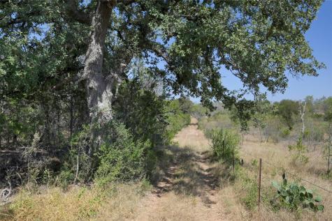1033 Flying X Road Spicewood TX 78669