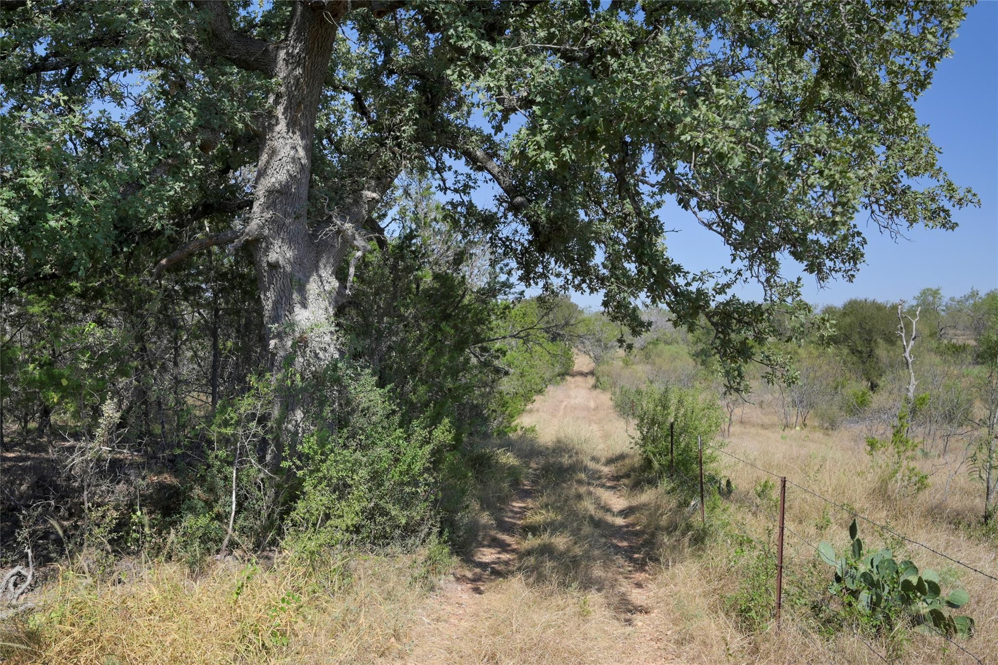1033 Flying X Road Spicewood TX 78669