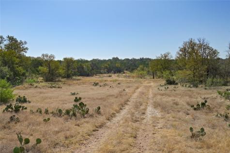 1033 Flying X Road Spicewood TX 78669