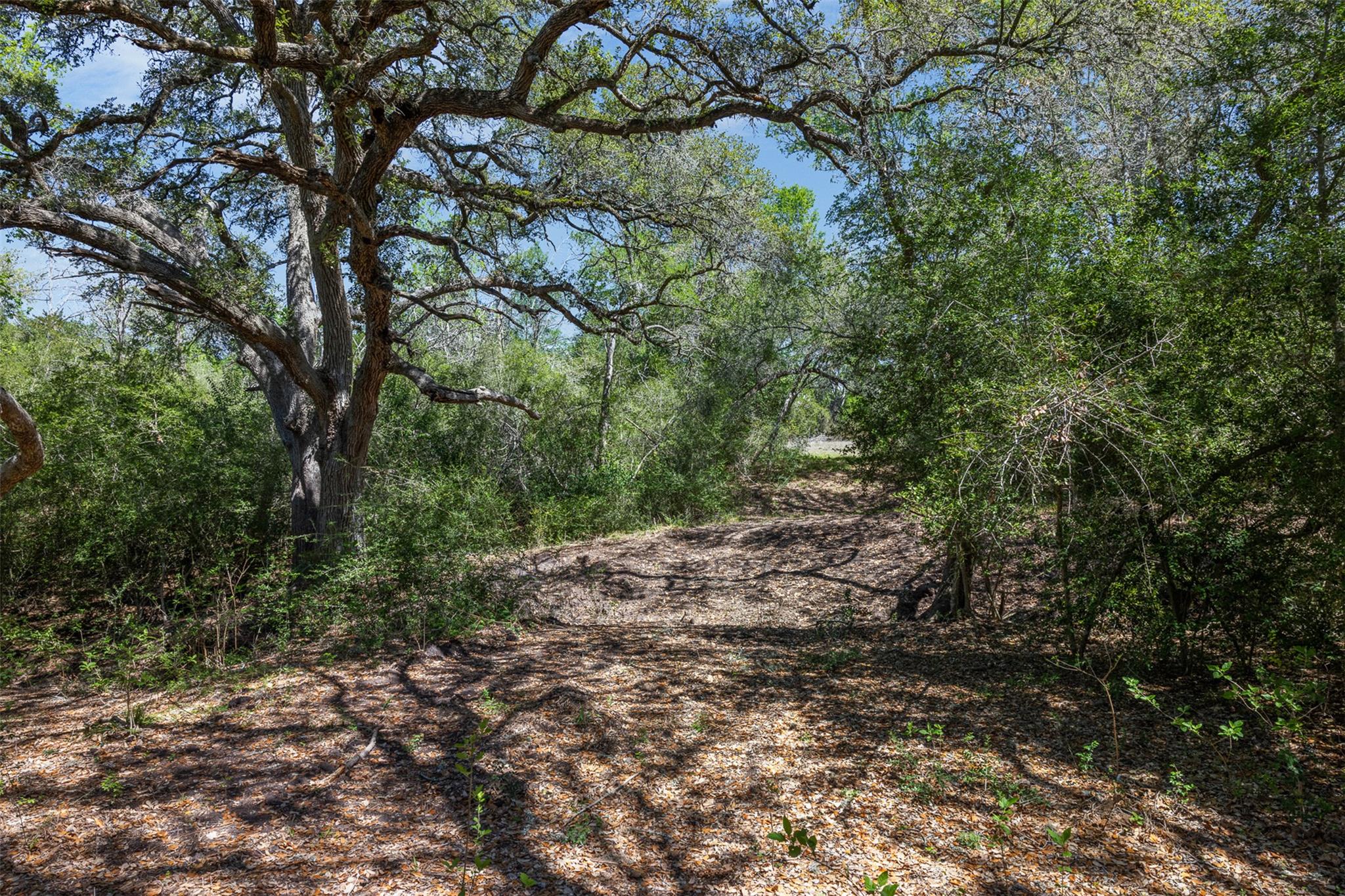2345 Frank Road La Grange TX 78945