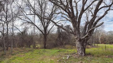 256 Greasy Bend Road Smithville TX 78957