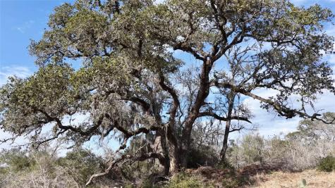 256 Greasy Bend Road Smithville TX 78957