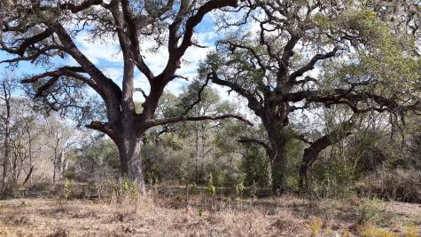 256 Greasy Bend Road Smithville TX 78957