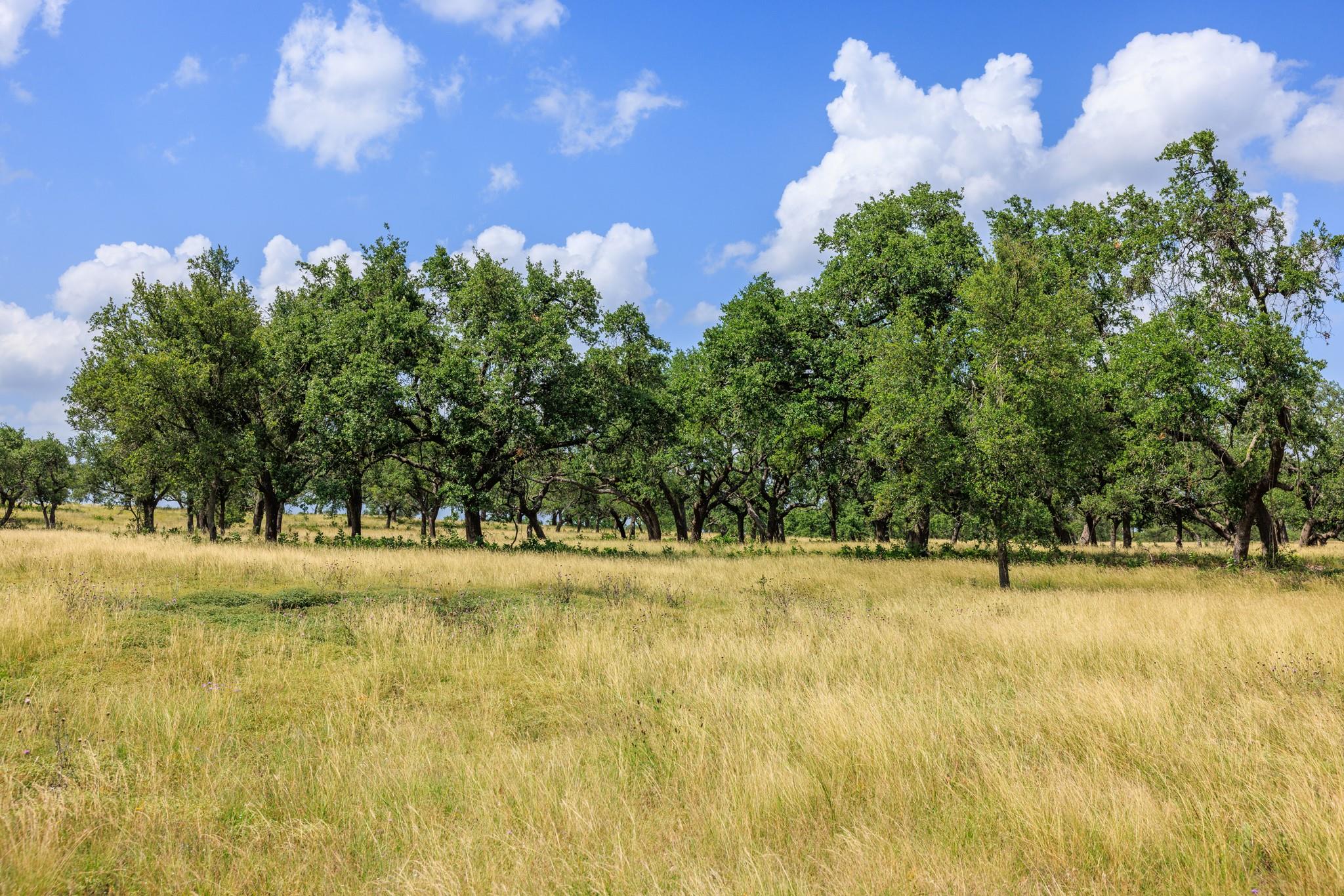 N/a Lone Man Mountain Road Wimberley TX 78676
