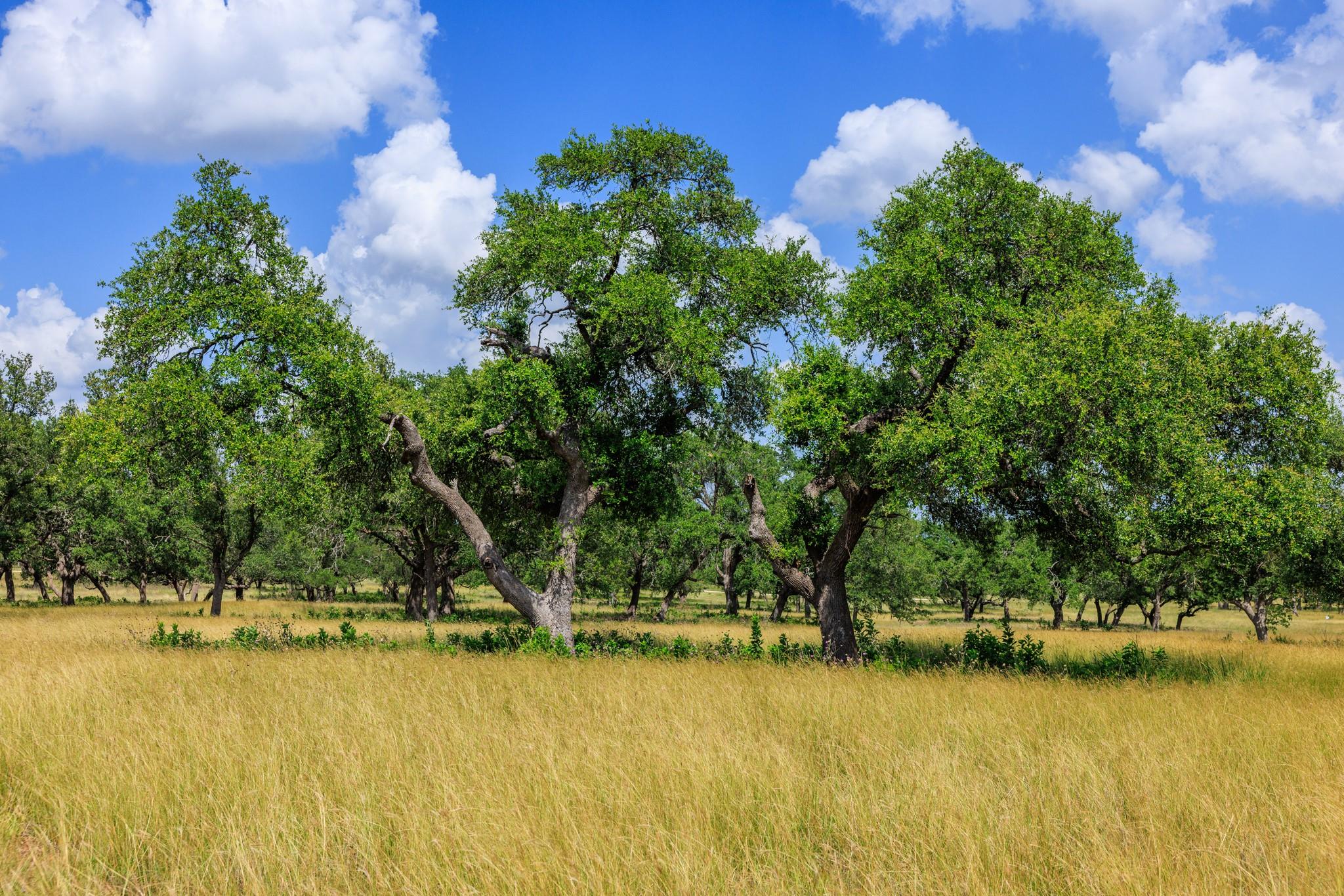 N/a Lone Man Mountain Road Wimberley TX 78676