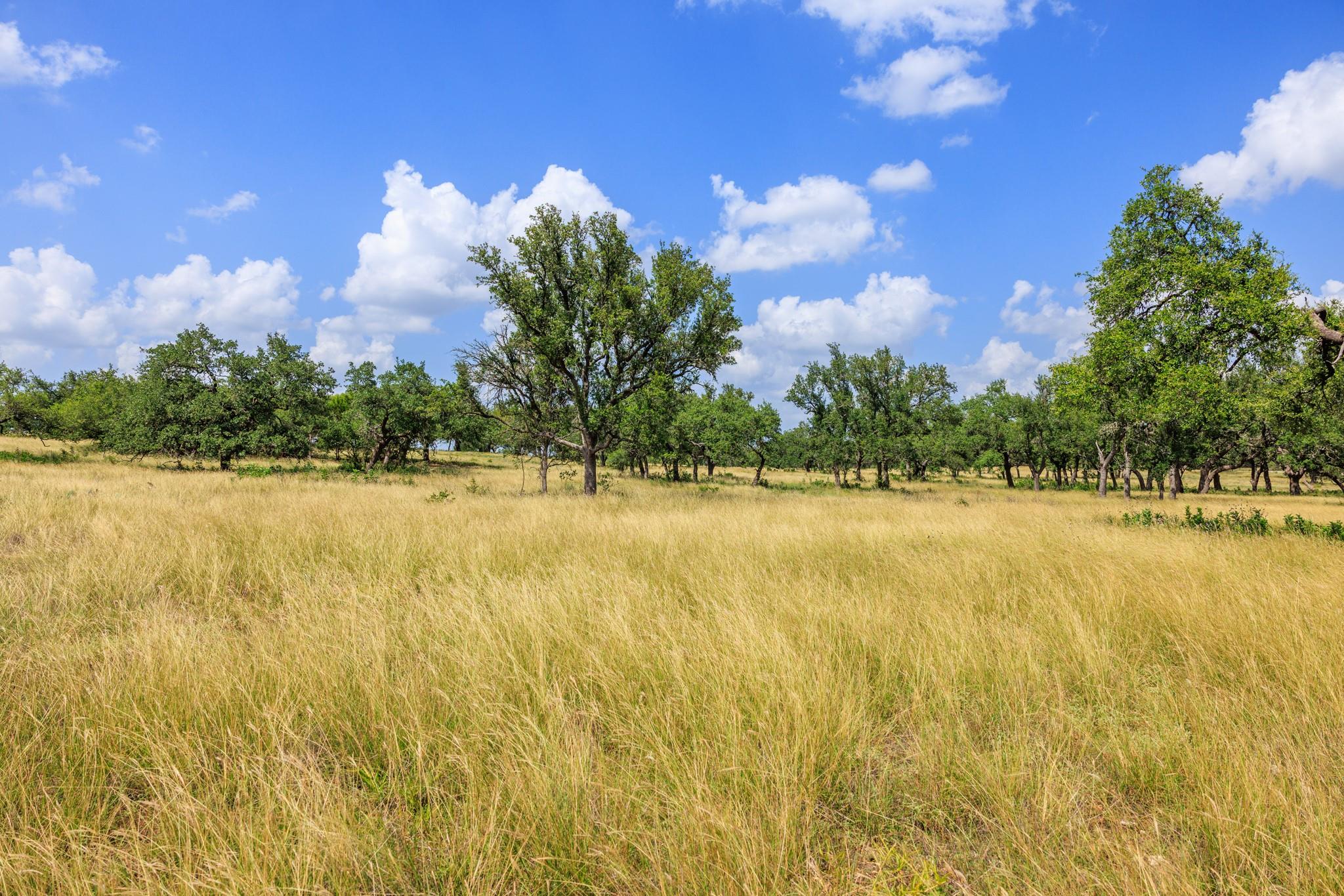 N/a Lone Man Mountain Road Wimberley TX 78676