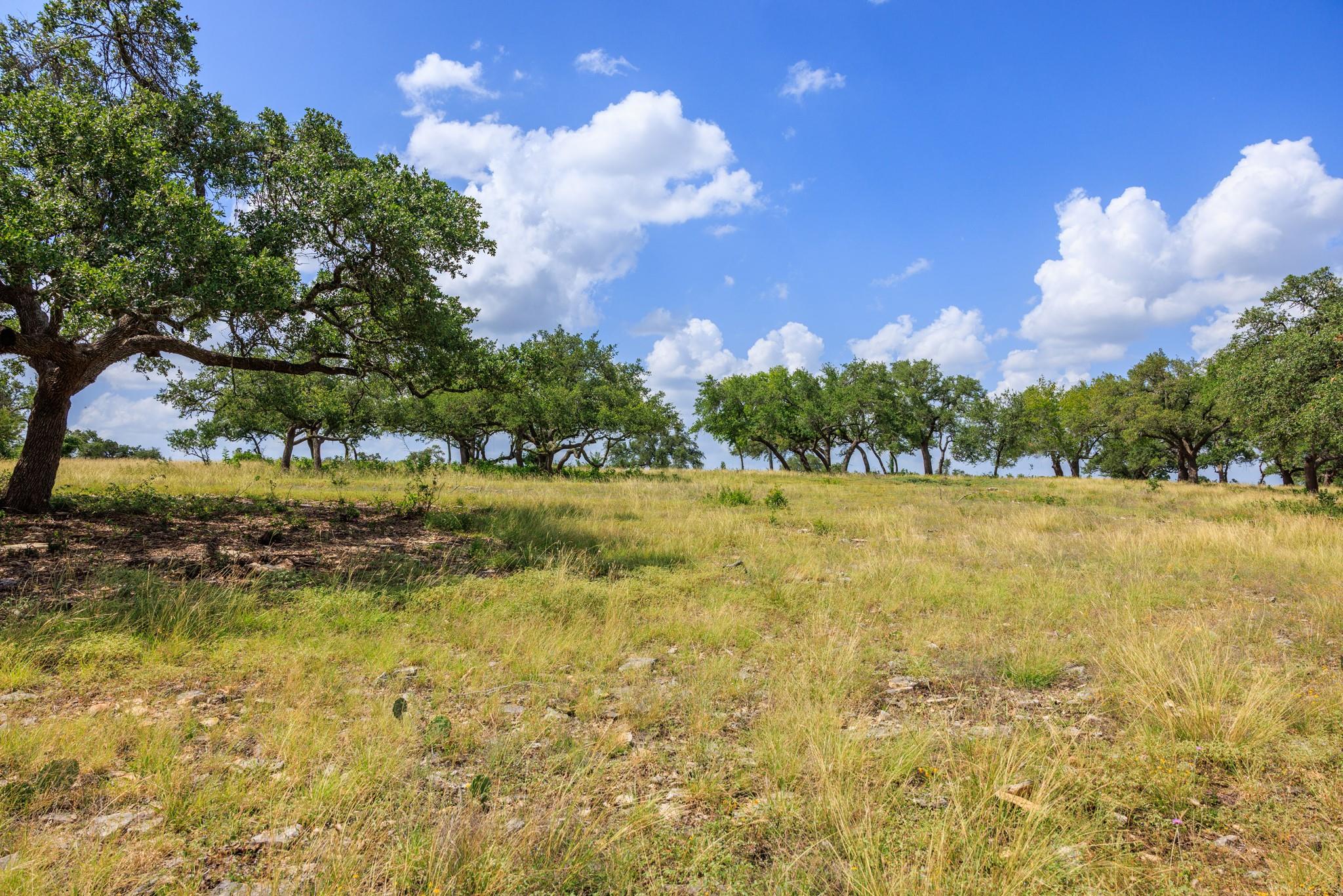 N/a Lone Man Mountain Road Wimberley TX 78676
